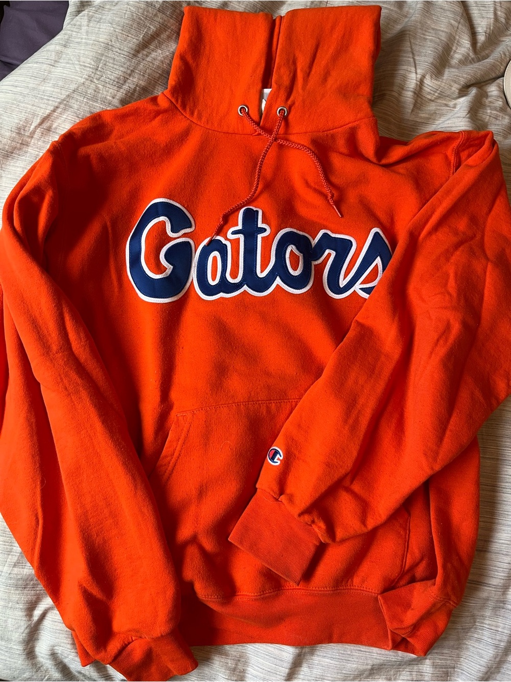 Florida gators champion hoodie